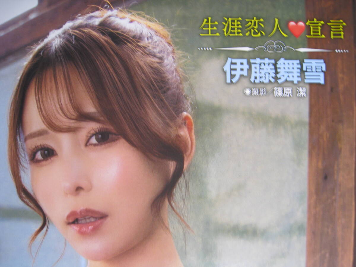 [ новый товар ][ не использовался ]. глициния Mai снег / Ishikawa .[ сырой .. человек ..]( двусторонний очень большой постер )