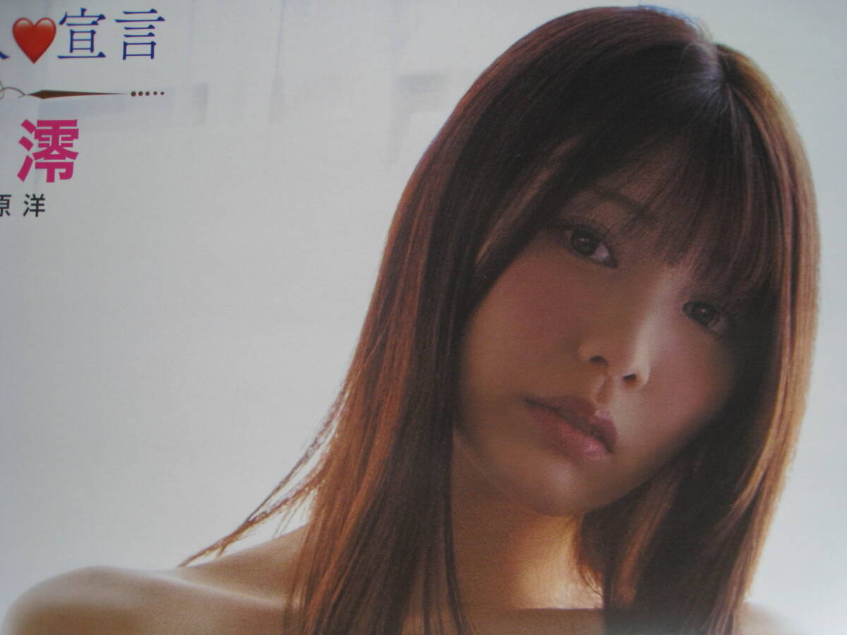 [ новый товар ][ не использовался ]. глициния Mai снег / Ishikawa .[ сырой .. человек ..]( двусторонний очень большой постер )