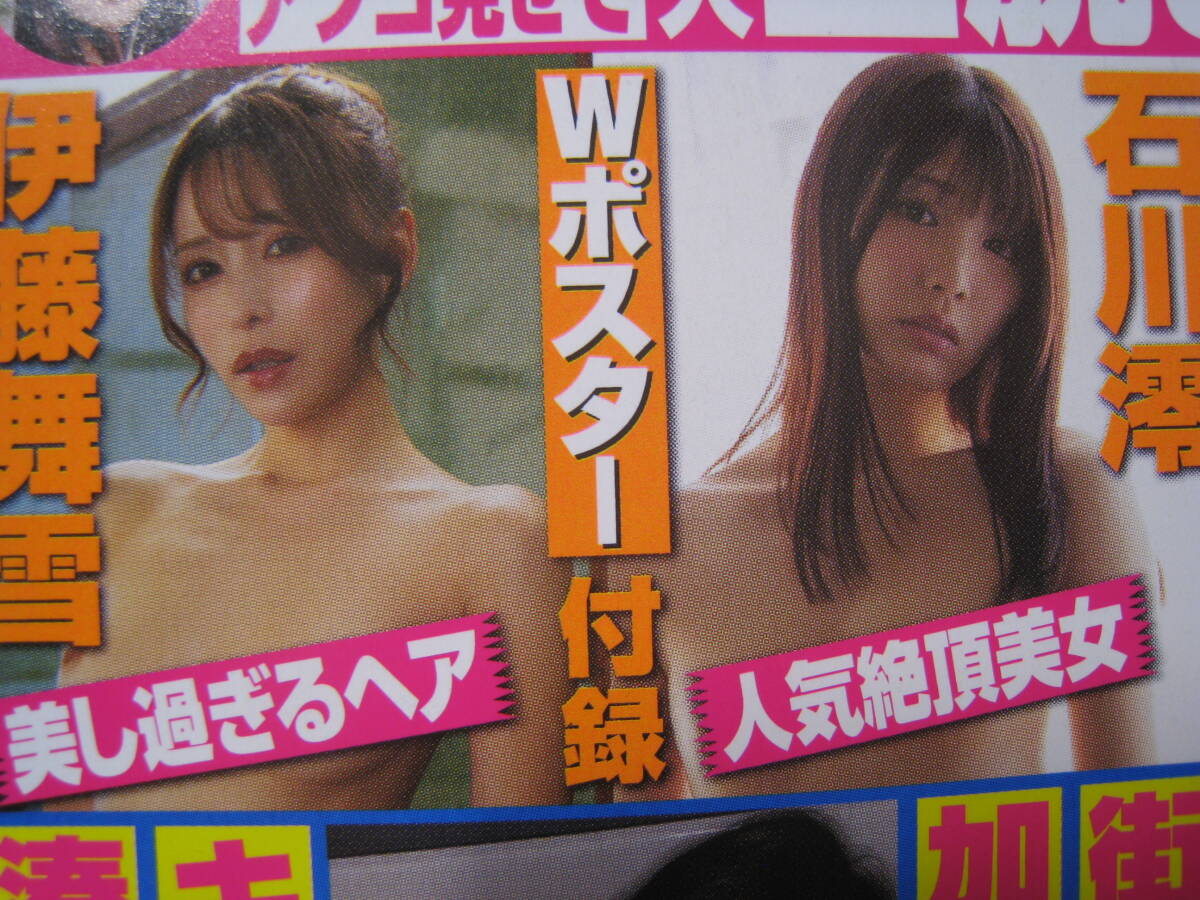 [ новый товар ][ не использовался ]. глициния Mai снег / Ishikawa .[ сырой .. человек ..]( двусторонний очень большой постер )