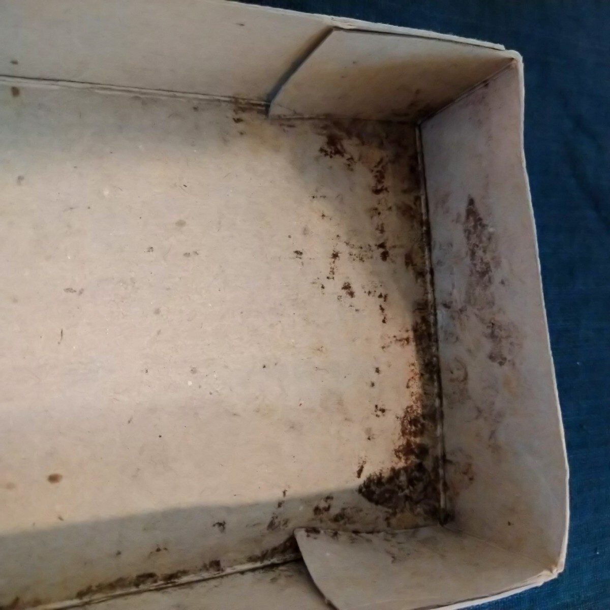 (TA)[A-819] утиль 1/600 AIRFIX H.M.S. WARSPITE пластиковая модель не собран 