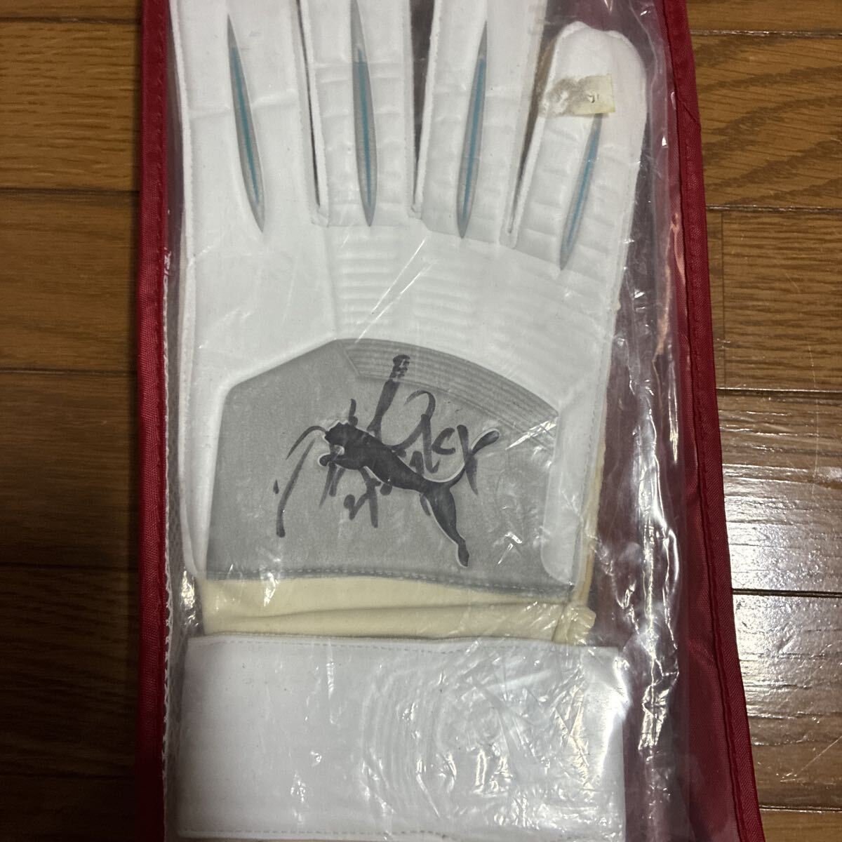 サッカー　日本代表　グッズ　川口能活 選手サイン キーパーグローブ_画像4