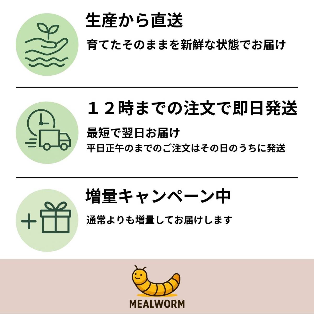 300g+α 300匹以上 M~Lサイズ ジャイアントミルワーム 国産 生餌 活き餌 飼育用エサ 送料無料_画像4