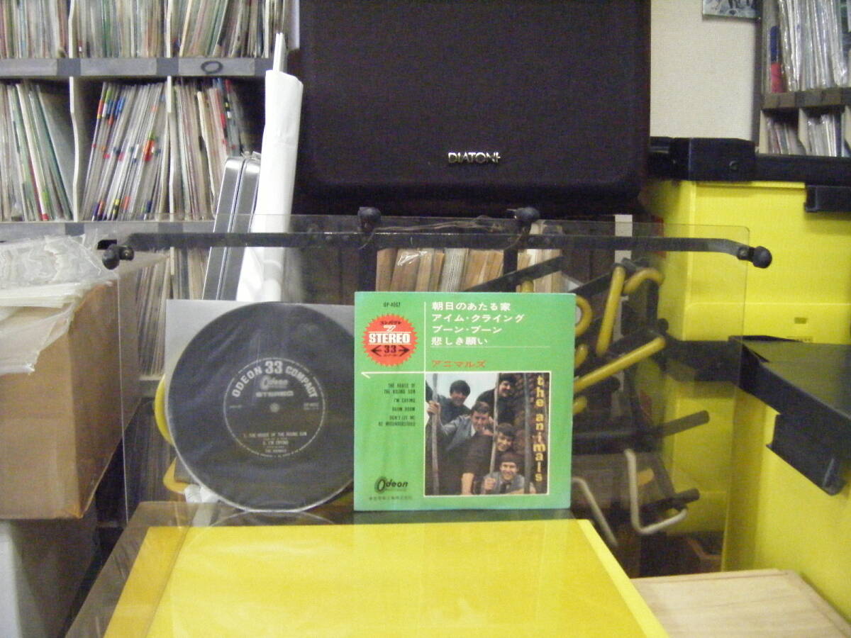 YS-207　アニマルズ　コンパクト盤　_画像1