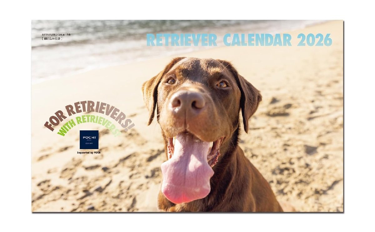 RETRIEVER(reto Lee балка )2026 год 1 месяц номер VOL.122