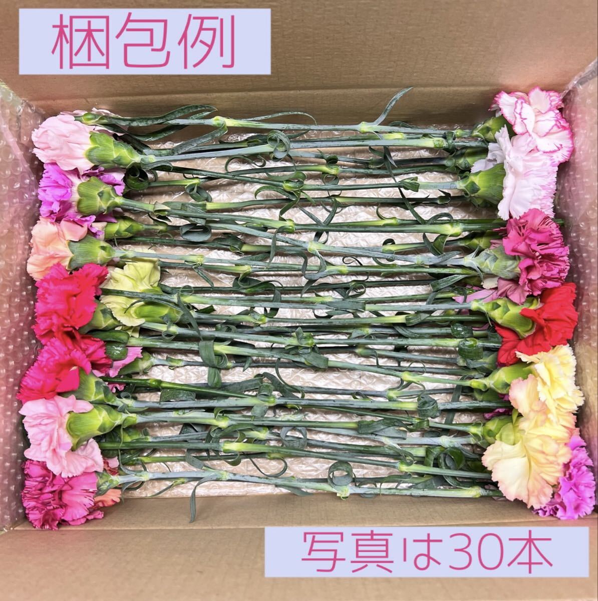 カーネーション　30本　30〜38センチ　訳あり品_画像5