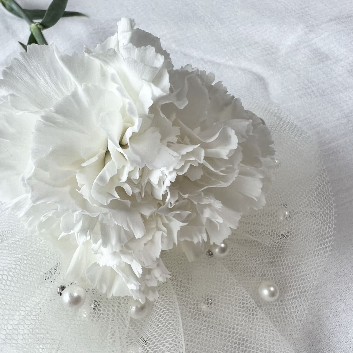 カーネーション　30本　30〜38センチ　訳あり品_画像7