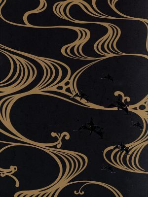  моно no.+.~ayakashi~. кошка DVD-BOX( первый раз ограниченая версия )/ Хасимото . история ( герой дизайн, общий произведение . постановка 