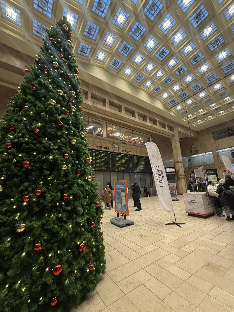  Belgium * желтохвост . cell * Marie Mary.. поставщик *② комплект milk шоколад планшет 70g milk лесной орех включая 91g