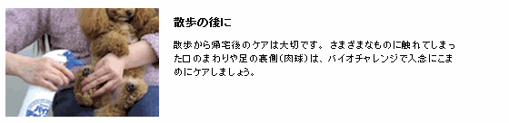 ■2888円~■送料無料!【バイオチャレンジ 詰替セット】小さなペットちゃんのにおい対策!除菌!お掃除!毎日安心して過ごす必須アイテム_画像8