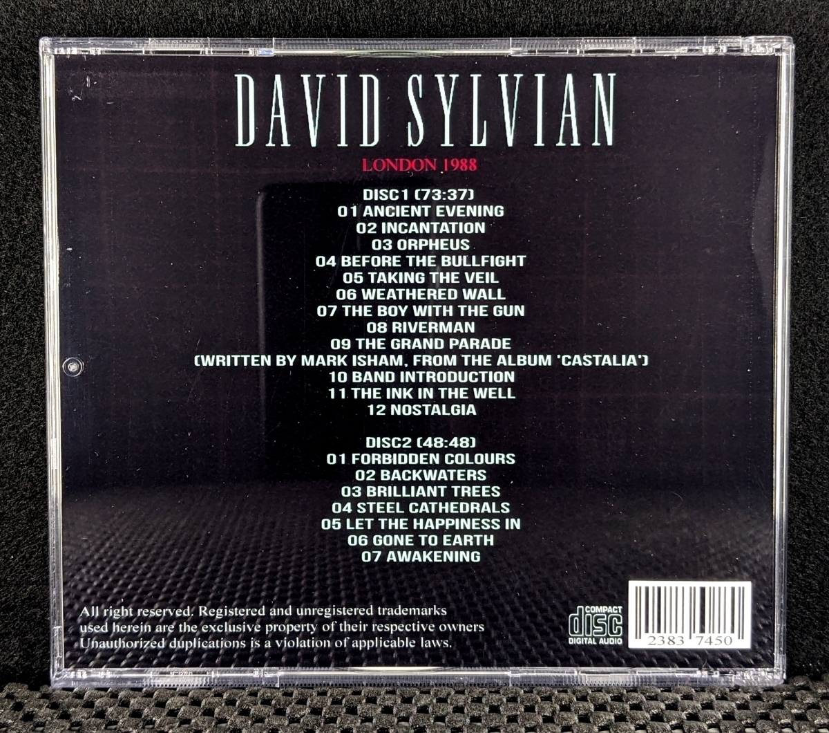 デヴィッド・シルヴィアン - London 1988 - David Sylvian_画像2