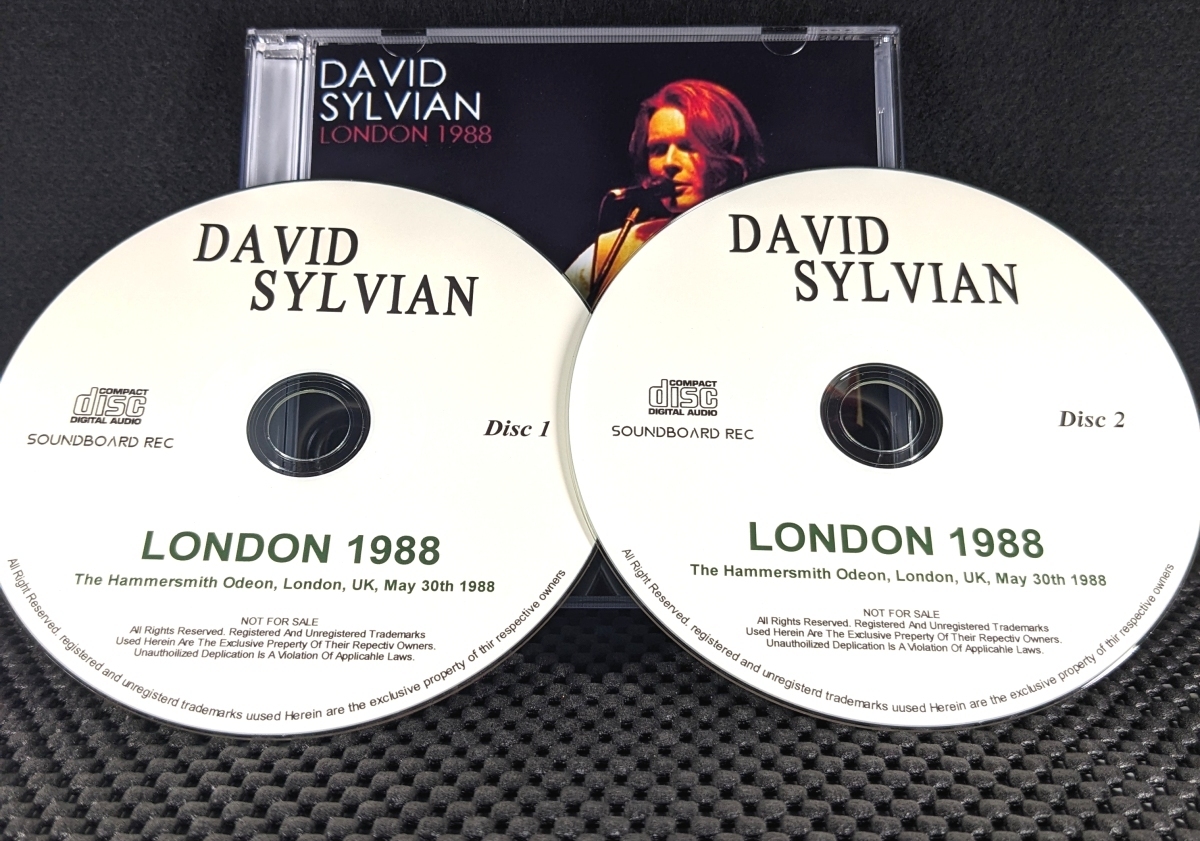 デヴィッド・シルヴィアン - London 1988 - David Sylvian_画像3