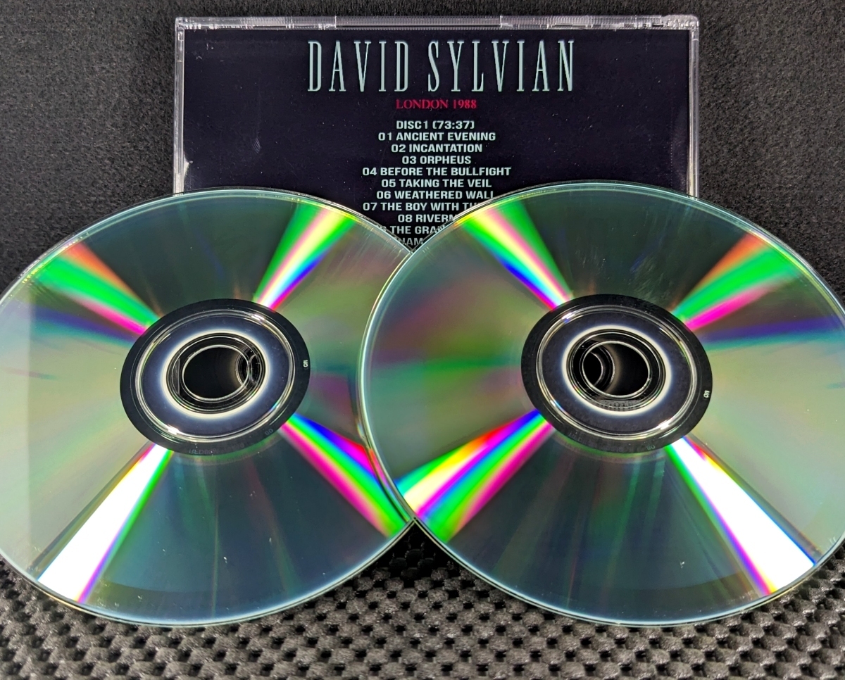 デヴィッド・シルヴィアン - London 1988 - David Sylvian_画像4