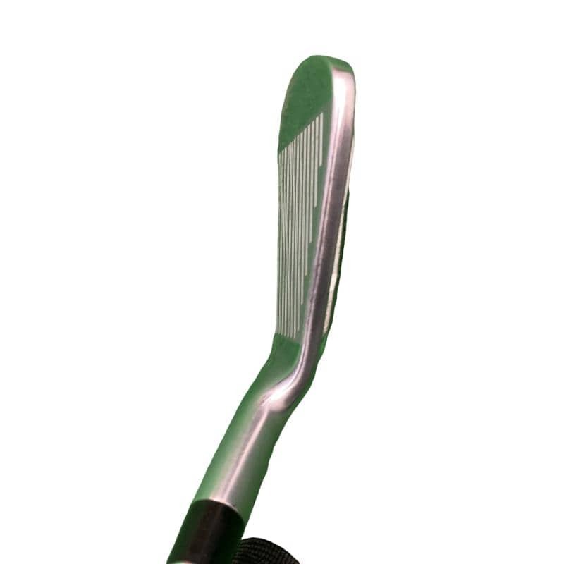 Honma Golf TOUR WORLD TW747P 6S железный комплект IR Flex R