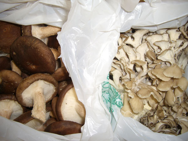 (. сделка комплект есть перевод ) Hokkaido производство ....(..)500g+ Hokkaido производство ....( Mai .)500g комплект *....*.. .* грибы ( включение в покупку не возможно ) (. сделка комплект есть перевод ) Hokkaido производство ....(..)500g+ Hokkaido производство ....( Mai .)500g комплект *....*.. .* грибы ( включение в покупку не возможно )