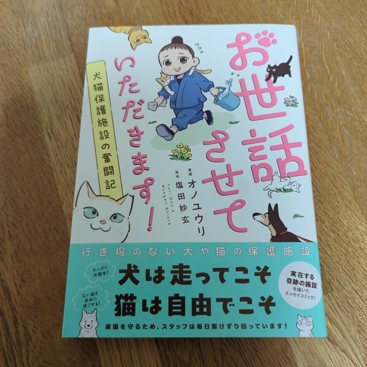  беспокойство сделаю! собака кошка защита объект. .. регистрация манга *onoyuuli оригинальное произведение * соль рисовое поле ..