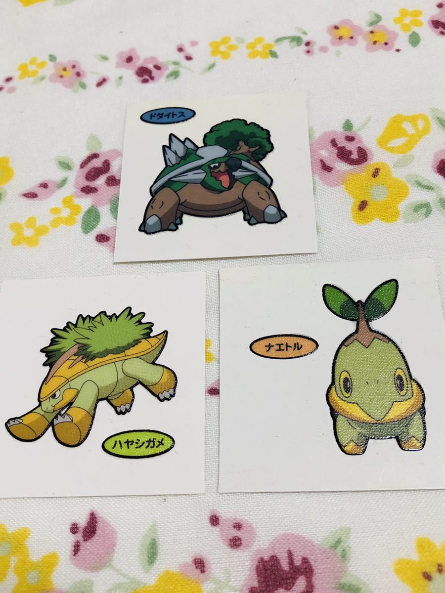 ポケモン デコキャラシールセット ナエトル ハヤシガメ ドダイトス Buyee Servicio De Proxy Japones Buyee Compra En Japon ポケモン デコキャラシールセット ナエトル ハヤシガメ ドダイトス Buyee Servicio De Proxy Japones Buyee Compra En Japon