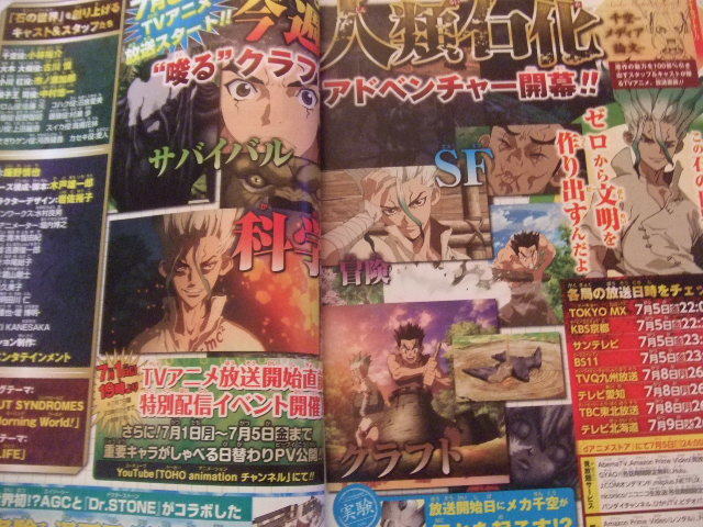 ヤフオク Dr Stone ドクターストーン カラーページ z 11 ヤフオク Dr Stone ドクターストーン カラーページ z 11