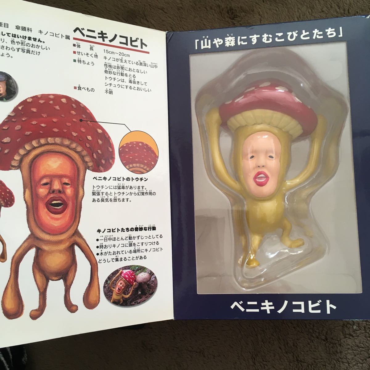 Paypayフリマ こびとづかん Paypayフリマ こびとづかん