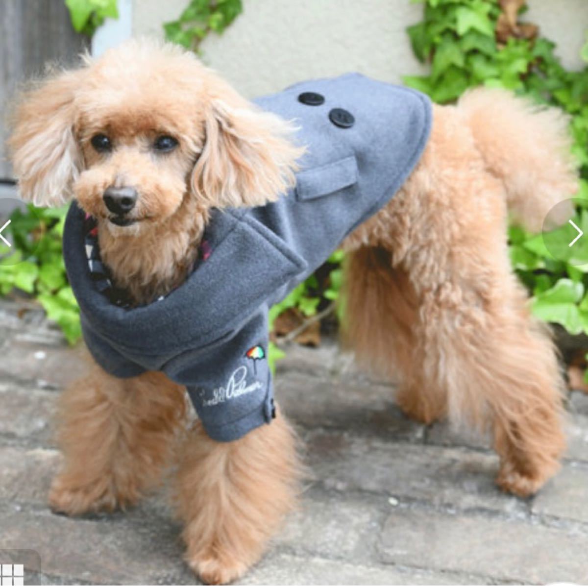 アーノルドパーマー 犬 服 XS グレー 灰色 ピーコート ドッグ ペットウェア