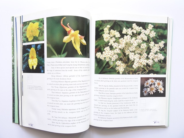 洋書◆ヒマラヤの春の風景写真集 本 タイ 自然 景色 植物 動物