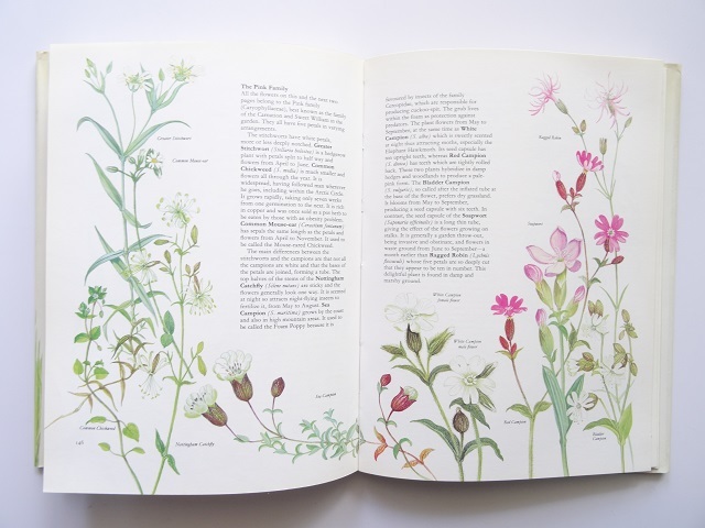  иностранная книга * рисовое поле .. цветок. материалы сборник книга@ растения 