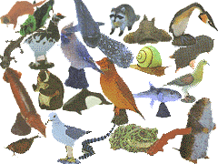 チョコエッグ・日本の動物コレクション第4弾(全24種類)