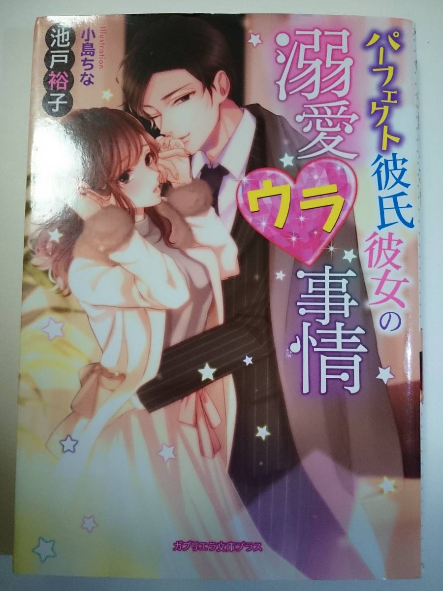 ガブリエラ文庫プラス『パーフェクト彼氏彼女の溺愛ウラ事情』池戸裕子/小島ちな_画像1