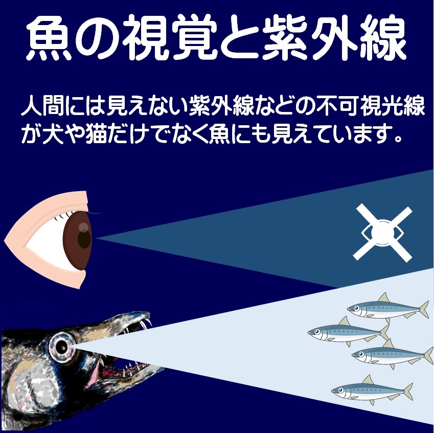 オニカサゴ仕掛け オニカサゴ 仕掛け 蛍光目玉付 ケイムラパープル&ディープグリーンコンビフラッシャー ムツ針18号 吹流し３本針仕掛け_画像4