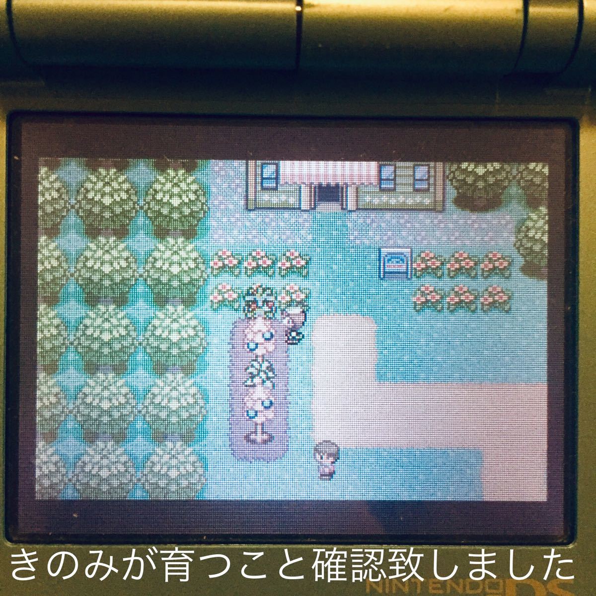 Paypayフリマ 電池交換 簡易メンテ済み ポケットモンスター エメラルド ゲームボーイアドバンス Paypayフリマ 電池交換 簡易メンテ済み ポケットモンスター エメラルド ゲームボーイアドバンス