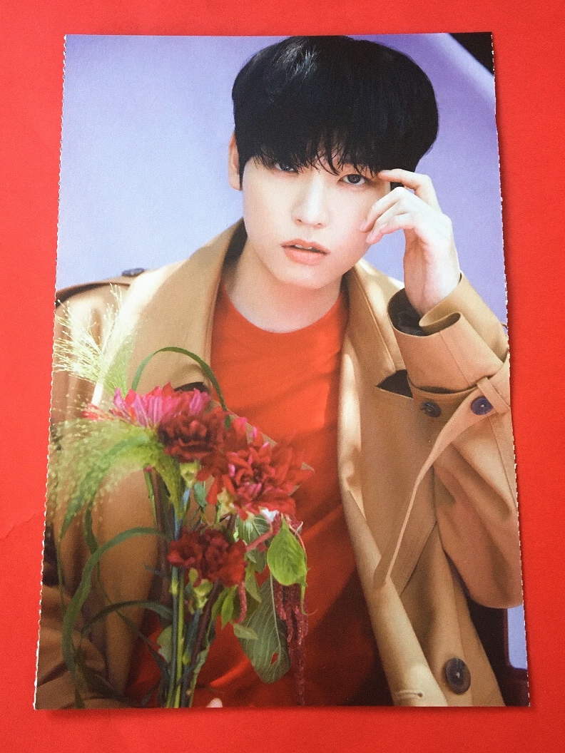 SF9 エスエフナイン 2021 SEASON'S GREETINGS BLOOMING TIME シーグリ カレンダー 封入 メッセージカード インソン INSEONG 即決_画像1