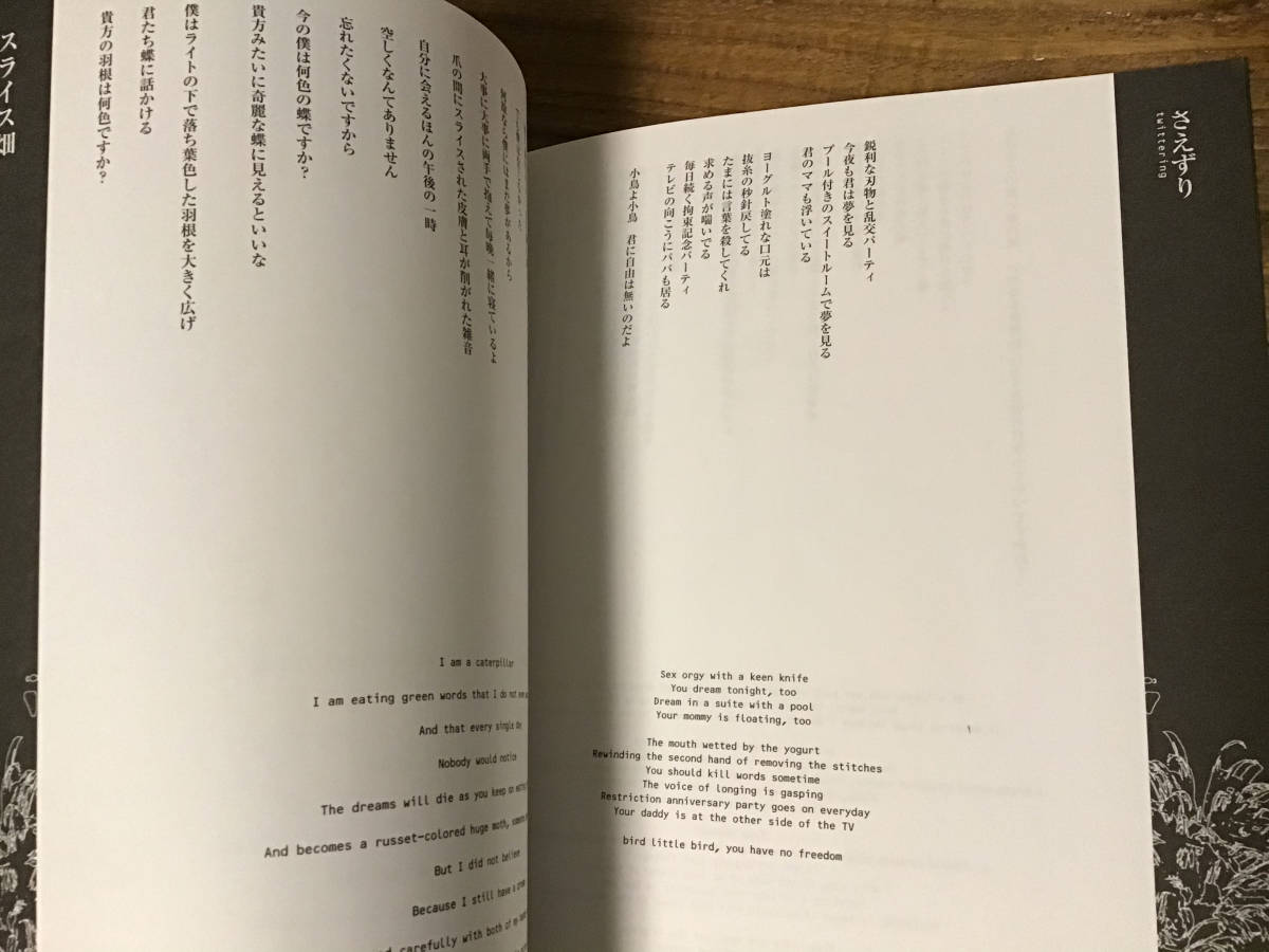 ★詩集/京/前略/お元気ですか/特殊BOX仕様/シリアル番号入り/限定/CD付き/ディルアングレイ/Dir en grey/kyo_画像5