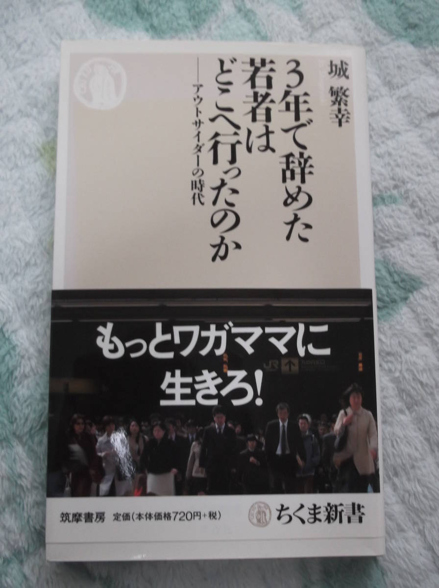 城繁幸著 3年で辞めた若者はどこへ行ったのか－アウトサイダーの時代／若者はなぜ3年で辞めるのか？－年功序列が奪う日本の未来 _画像1