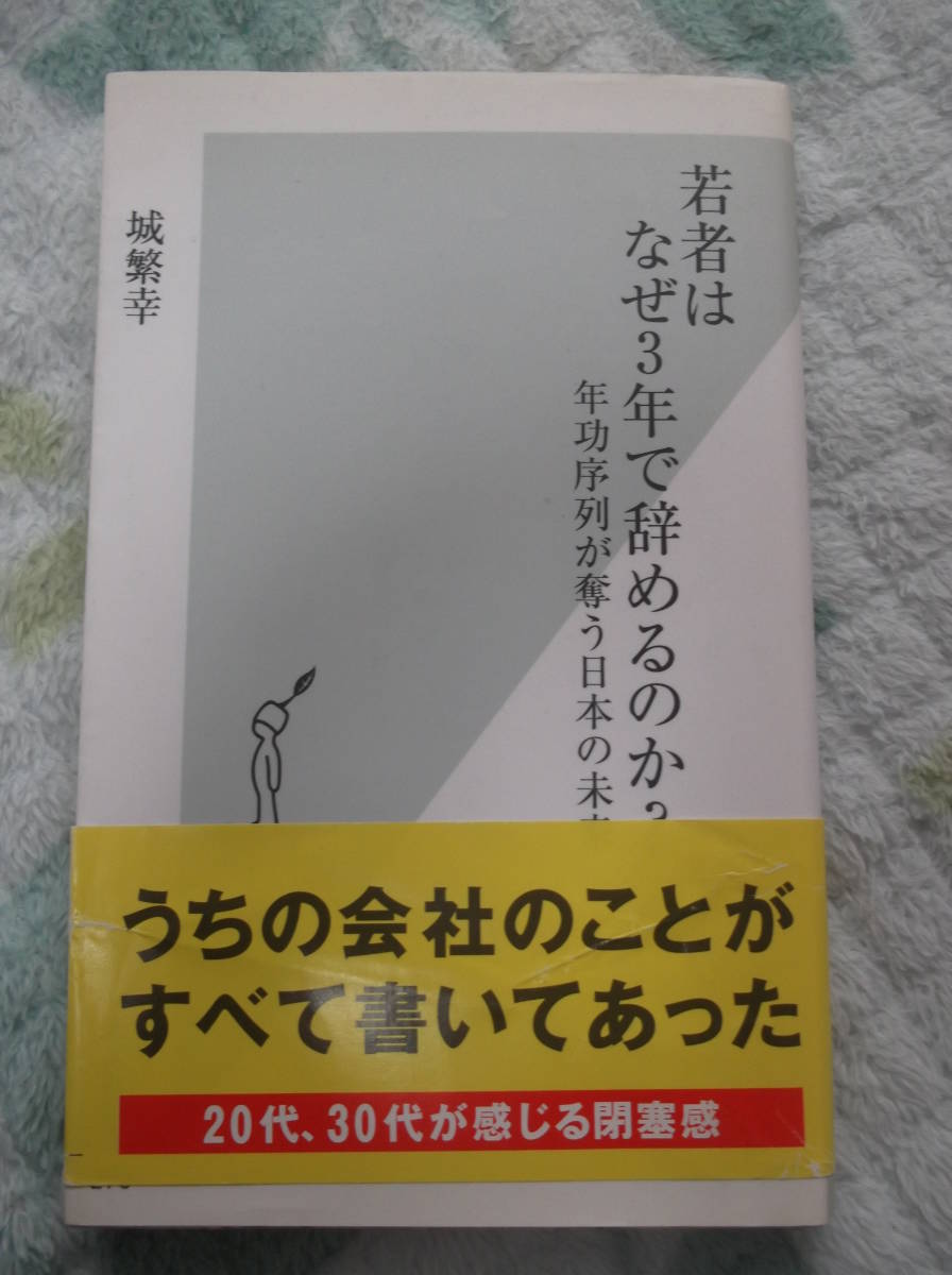 城繁幸著 3年で辞めた若者はどこへ行ったのか－アウトサイダーの時代／若者はなぜ3年で辞めるのか？－年功序列が奪う日本の未来 _画像3