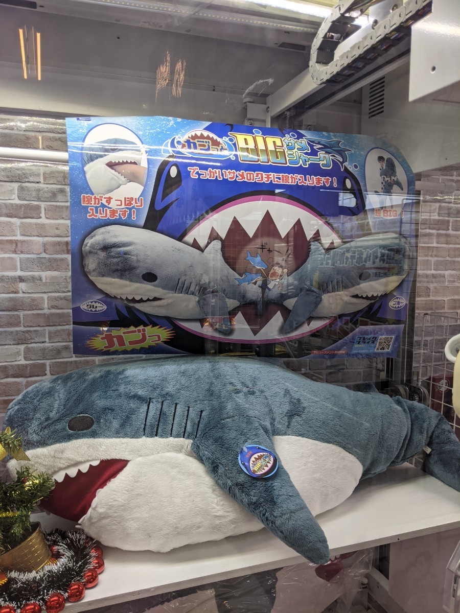 Paypayフリマ カブっとbigサメシャーク 巨大ぬいぐるみ ぬいぐるみ サメ さめ Bigぬいぐるみ Ikea