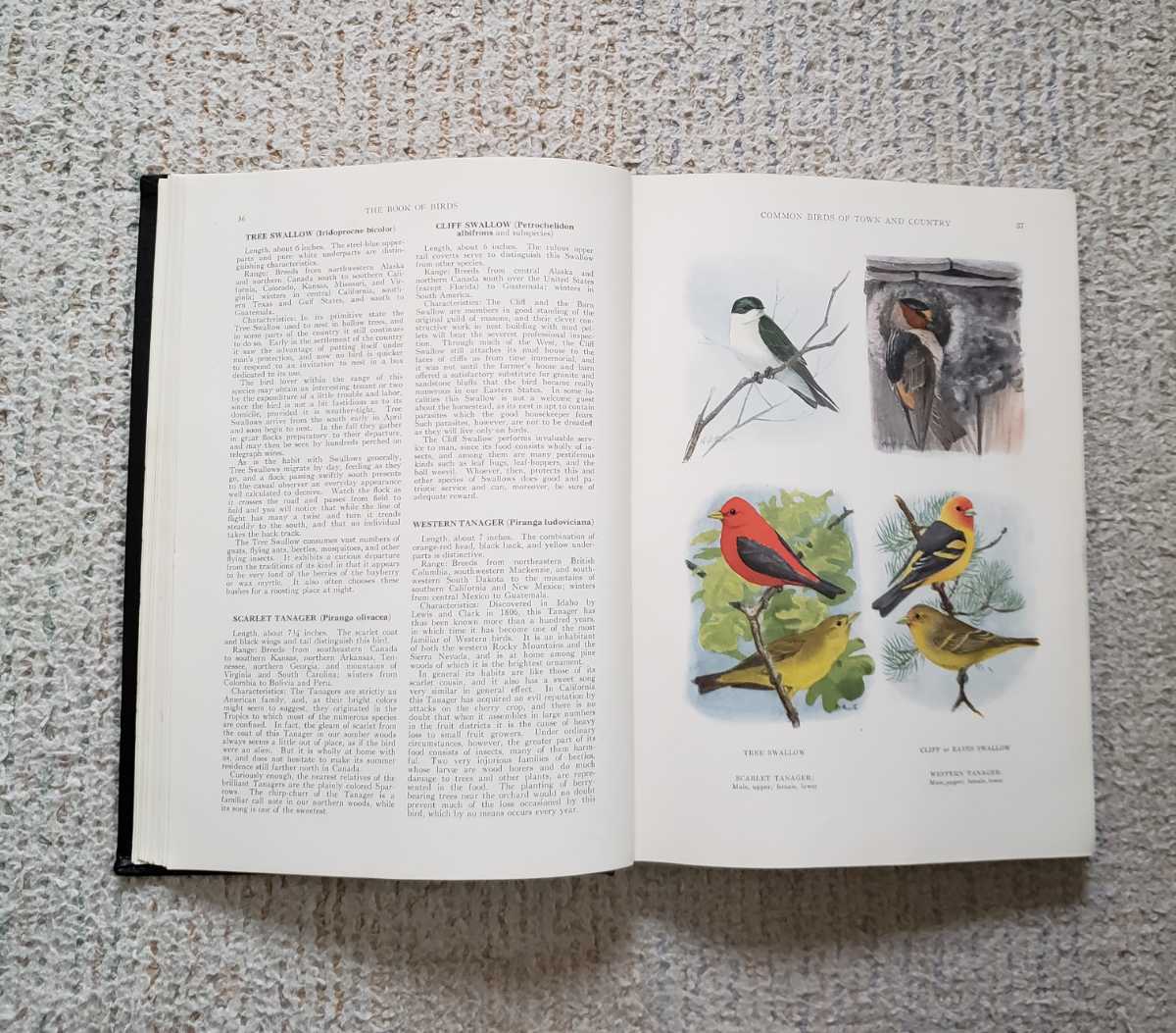 1927 год американский дикая птица иллюстрированная книга [The Book of Birds]