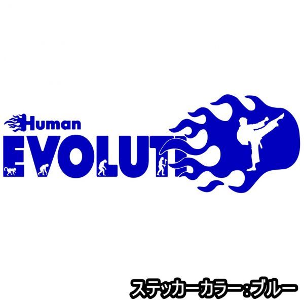 * thousand jpy and more postage 0*30.0×10.0cm. on type - person kind. evolution [ pushed .! karate compilation ] ultimate genuine,K1, Rizin, combative sports liking . originals te car (3)