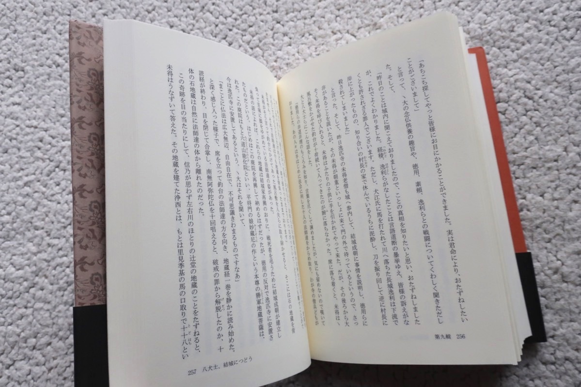 現代語で読む歴史文学 抄訳 南総里見八犬伝 下巻 (勉誠出版) 鈴木 邑訳、西沢正史監修 2004年初版_画像9