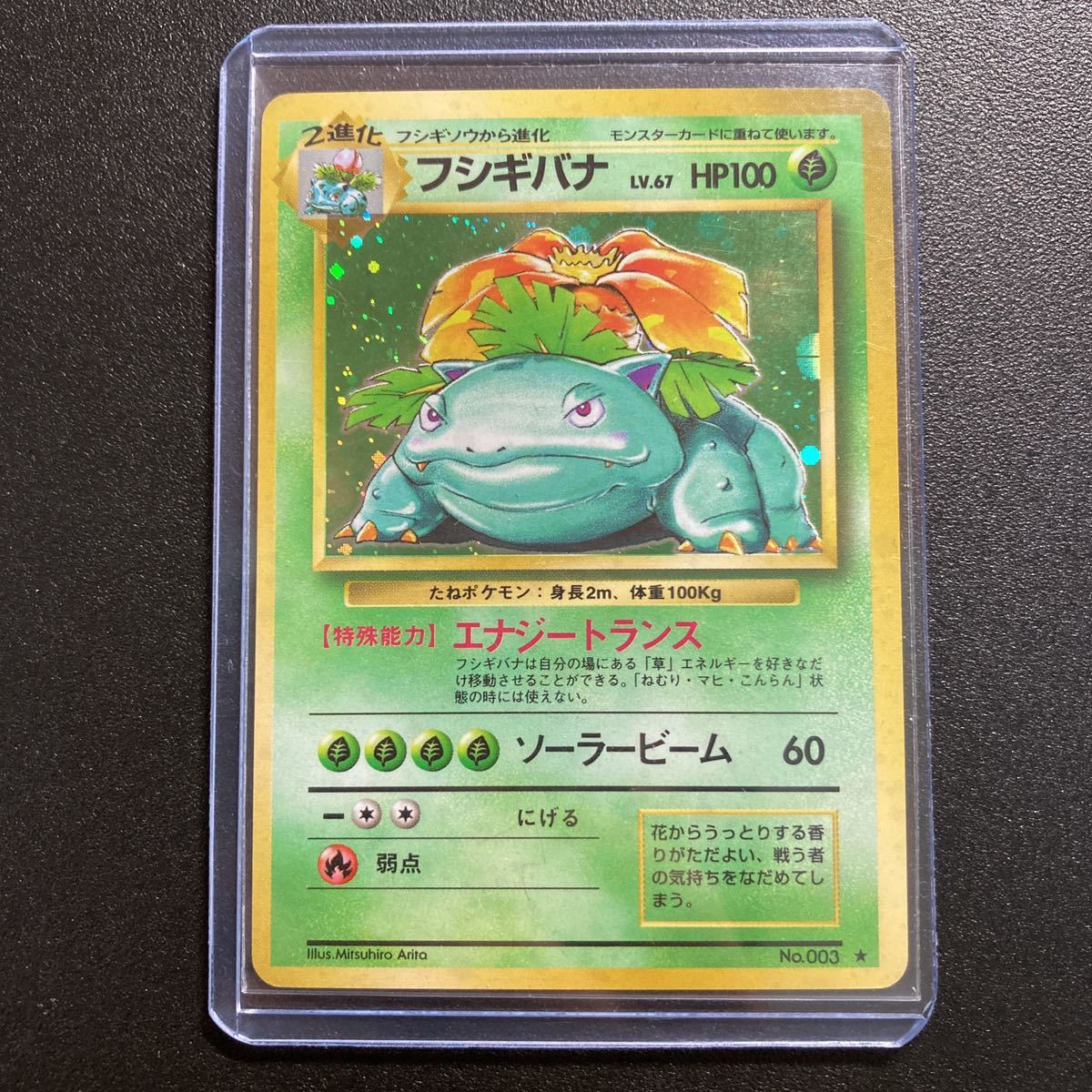 ヤフオク 3種 御三家 旧裏面 リザードン カメックス フシ ヤフオク 3種 御三家 旧裏面 リザードン カメックス フシ