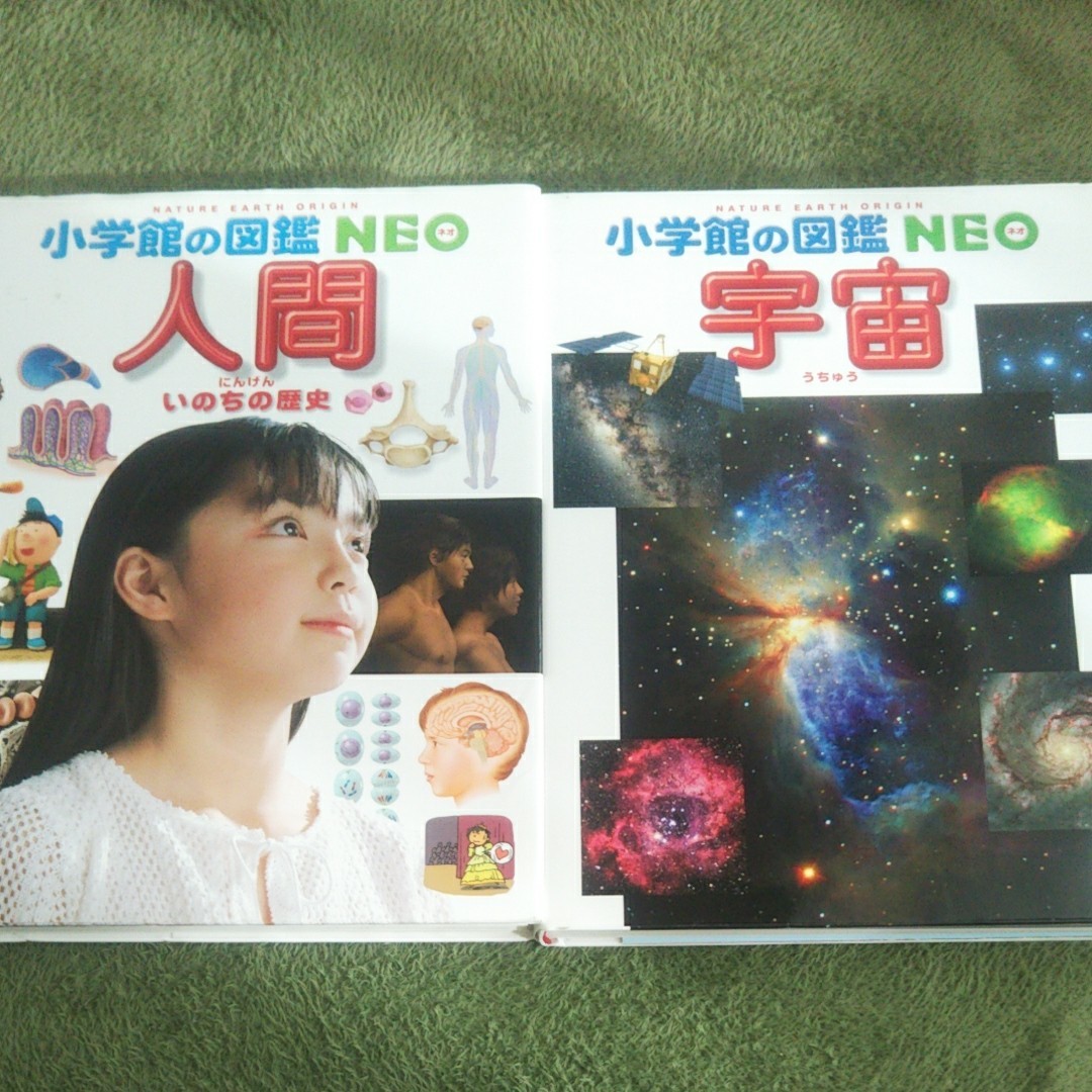 Paypayフリマ お値下げ 小学館の図鑑 Neo 人間 宇宙 Paypayフリマ お値下げ 小学館の図鑑 Neo 人間 宇宙