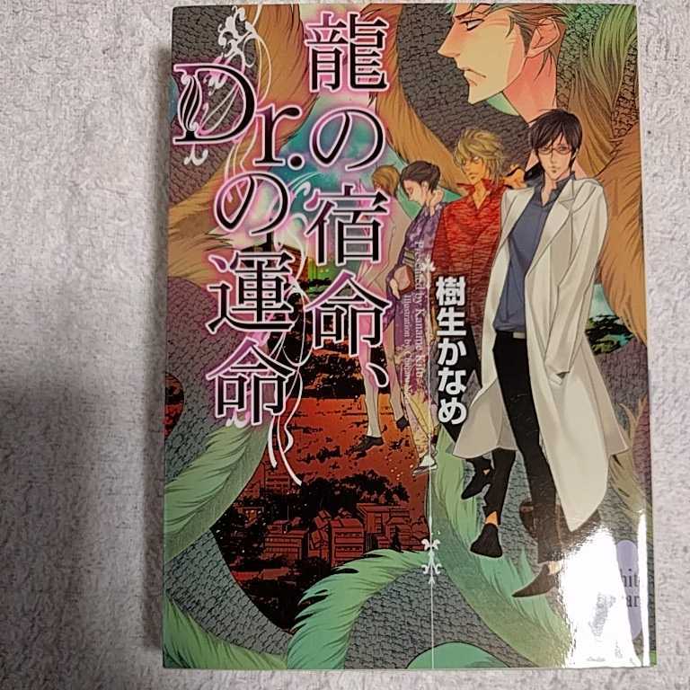 龍の宿命、Dr.の運命 (講談社X文庫) 樹生 かなめ 奈良 千春 9784062866125_画像1