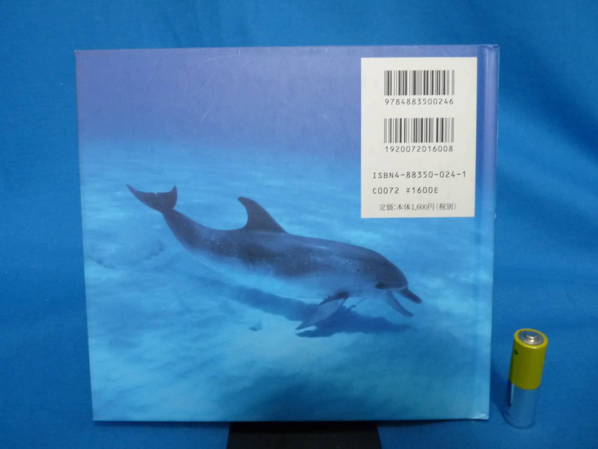 青菁社 Dolphin Creatures of the Wild 写真集 越智隆治 Takaji Ochi イルカの海_画像2