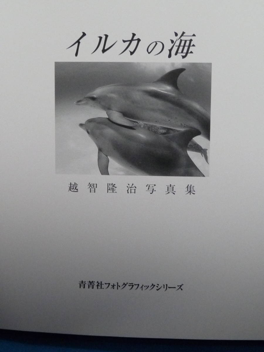 青菁社 Dolphin Creatures of the Wild 写真集 越智隆治 Takaji Ochi イルカの海_画像9