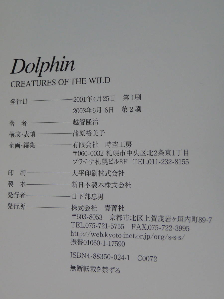 青菁社 Dolphin Creatures of the Wild 写真集 越智隆治 Takaji Ochi イルカの海_画像10