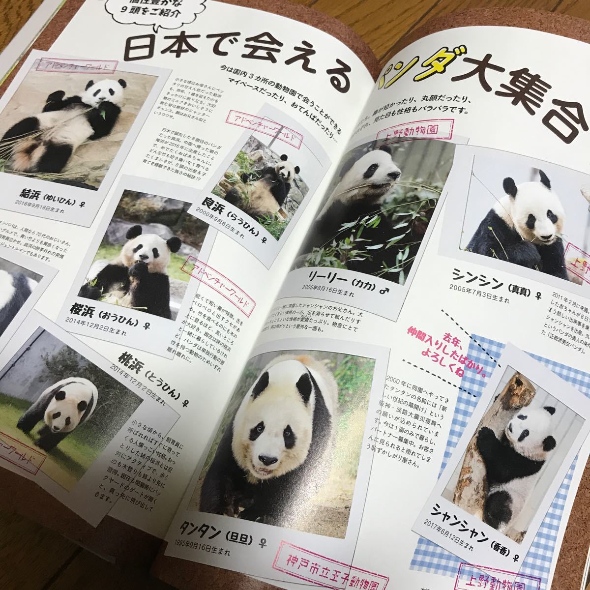 Paypayフリマ パンダまにあ Paypayフリマ パンダまにあ
