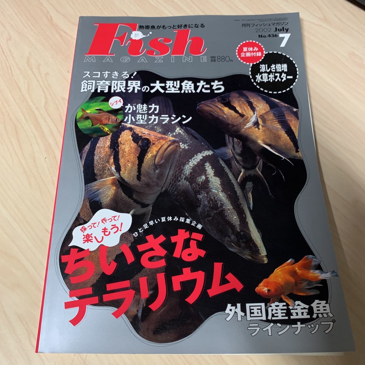 月刊 フィッシュマガジン 2002年7月 vol.436 スゴすぎる！飼育限界の大型魚たち　ほか　付録ポスターなし