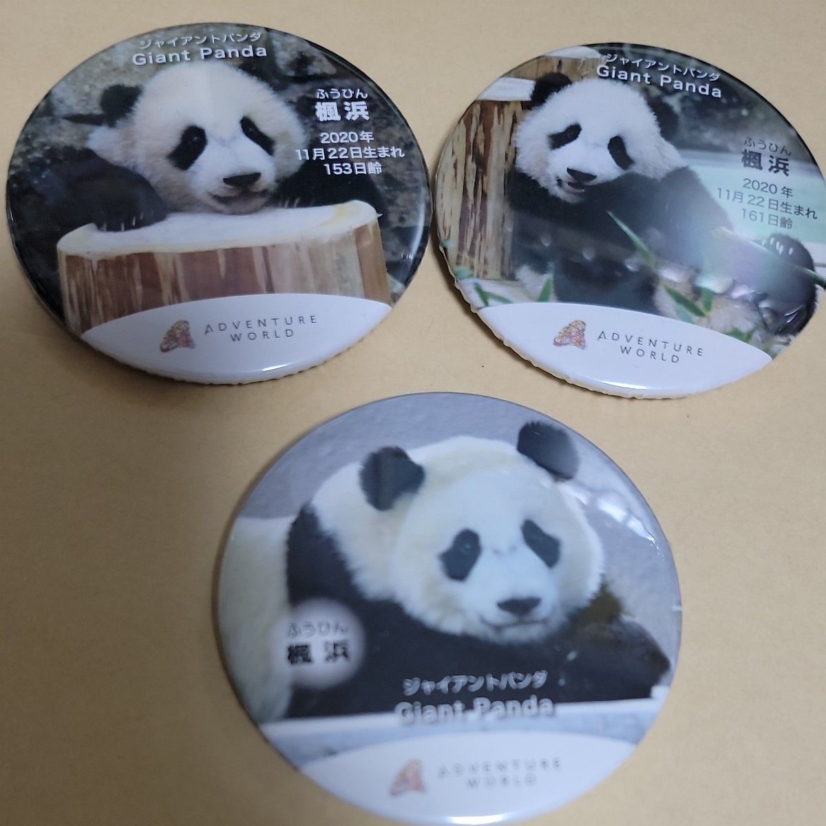 アドベンチャーワールド 楓浜 缶バッジ3セット アドベンチャーワールド