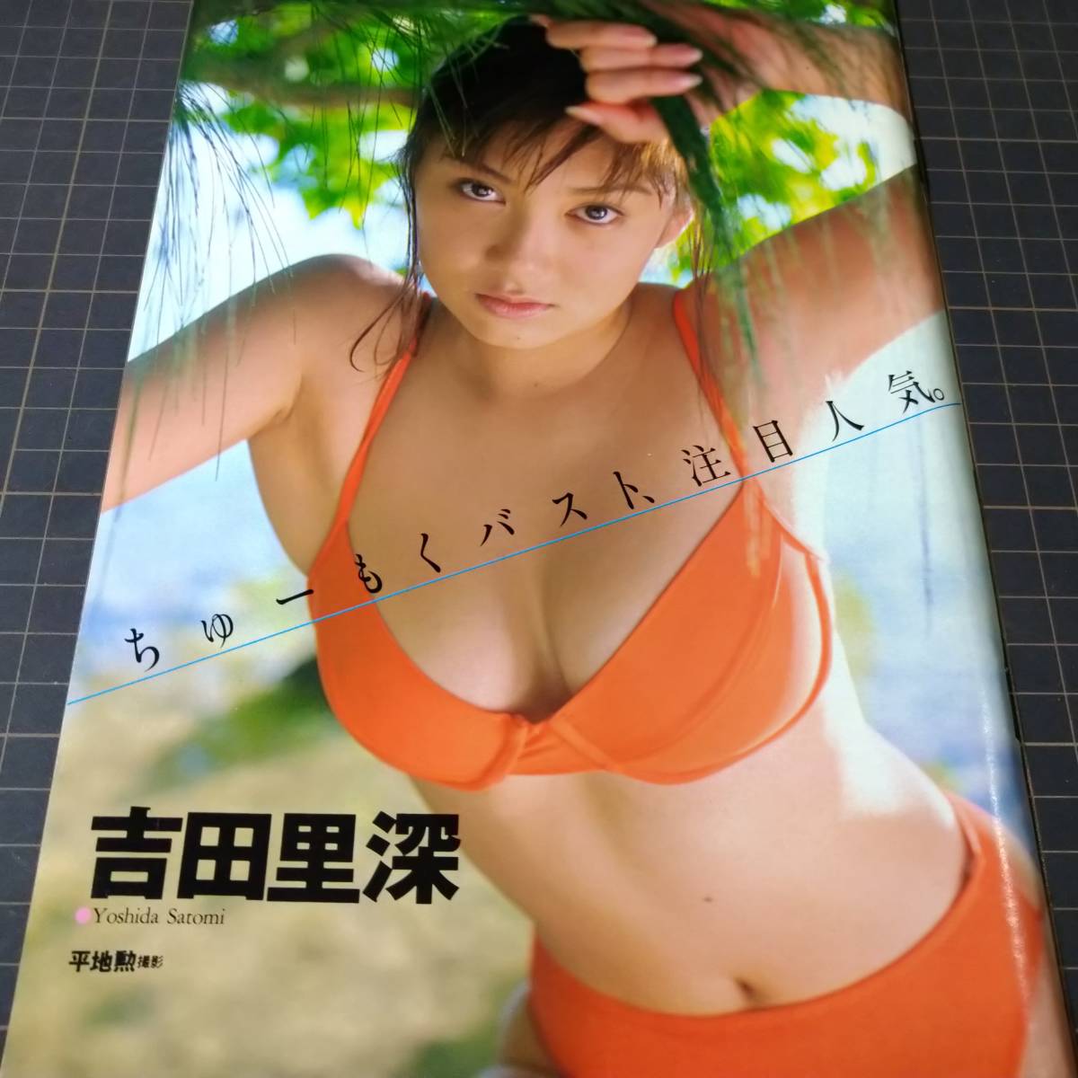 ヤフオク 吉田里深 水着グラビア ちゅーもくバスト 注目 ヤフオク 吉田里深 水着グラビア ちゅーもくバスト 注目