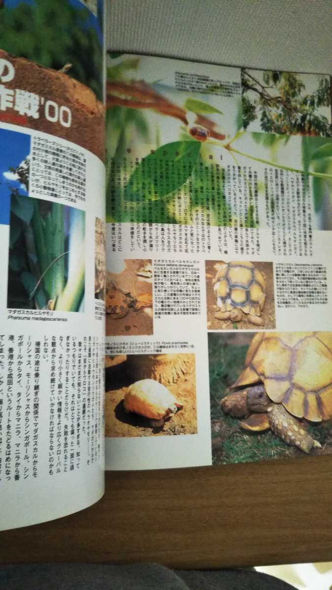 ske il 009 2000 [ sand .. .. military operation \'00] reptiles / amphibia information magazine book@reptiles&amphibians