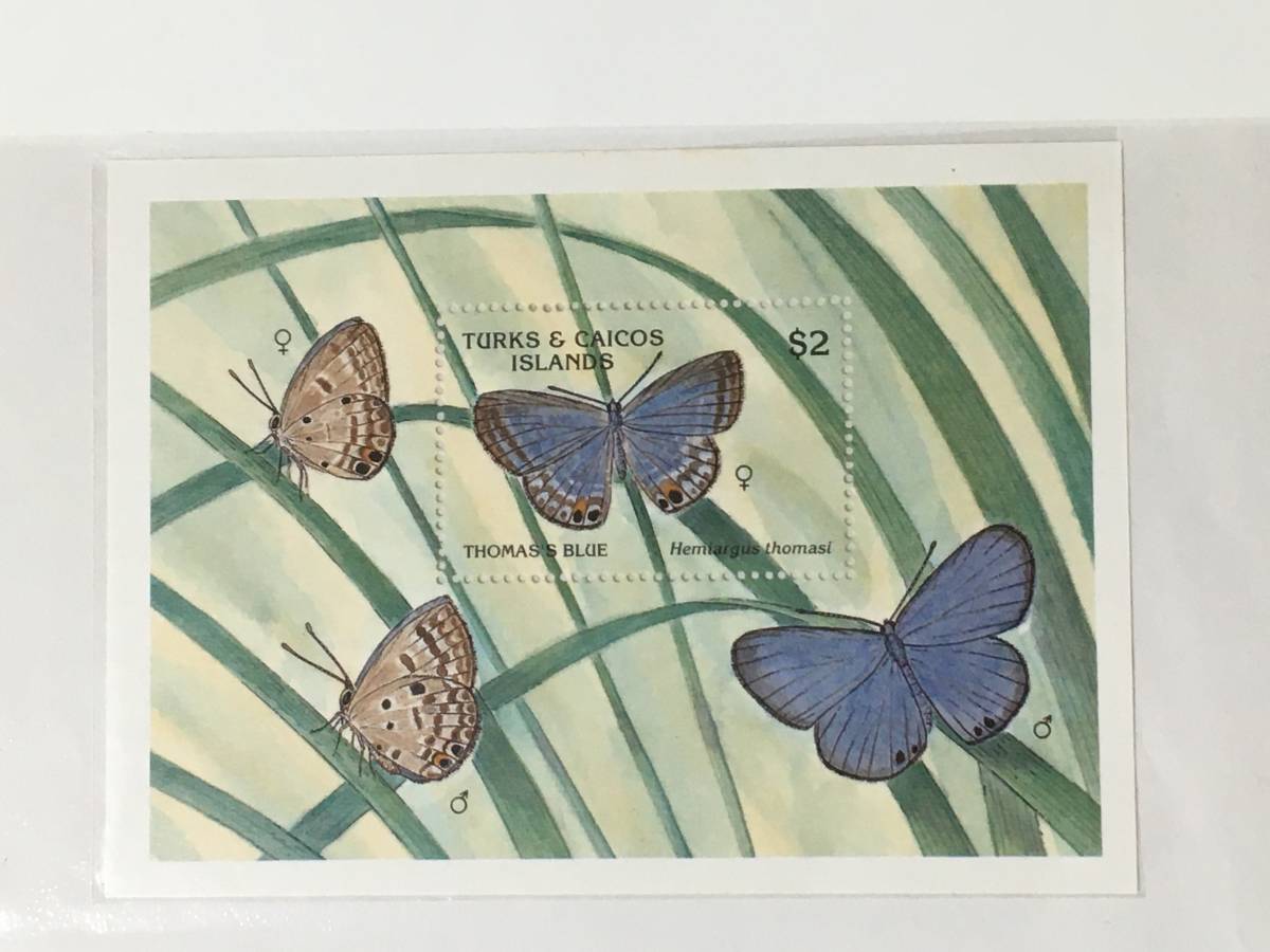  stamp : insect * butterfly |ta-ks various island . kai kos various island * seat *