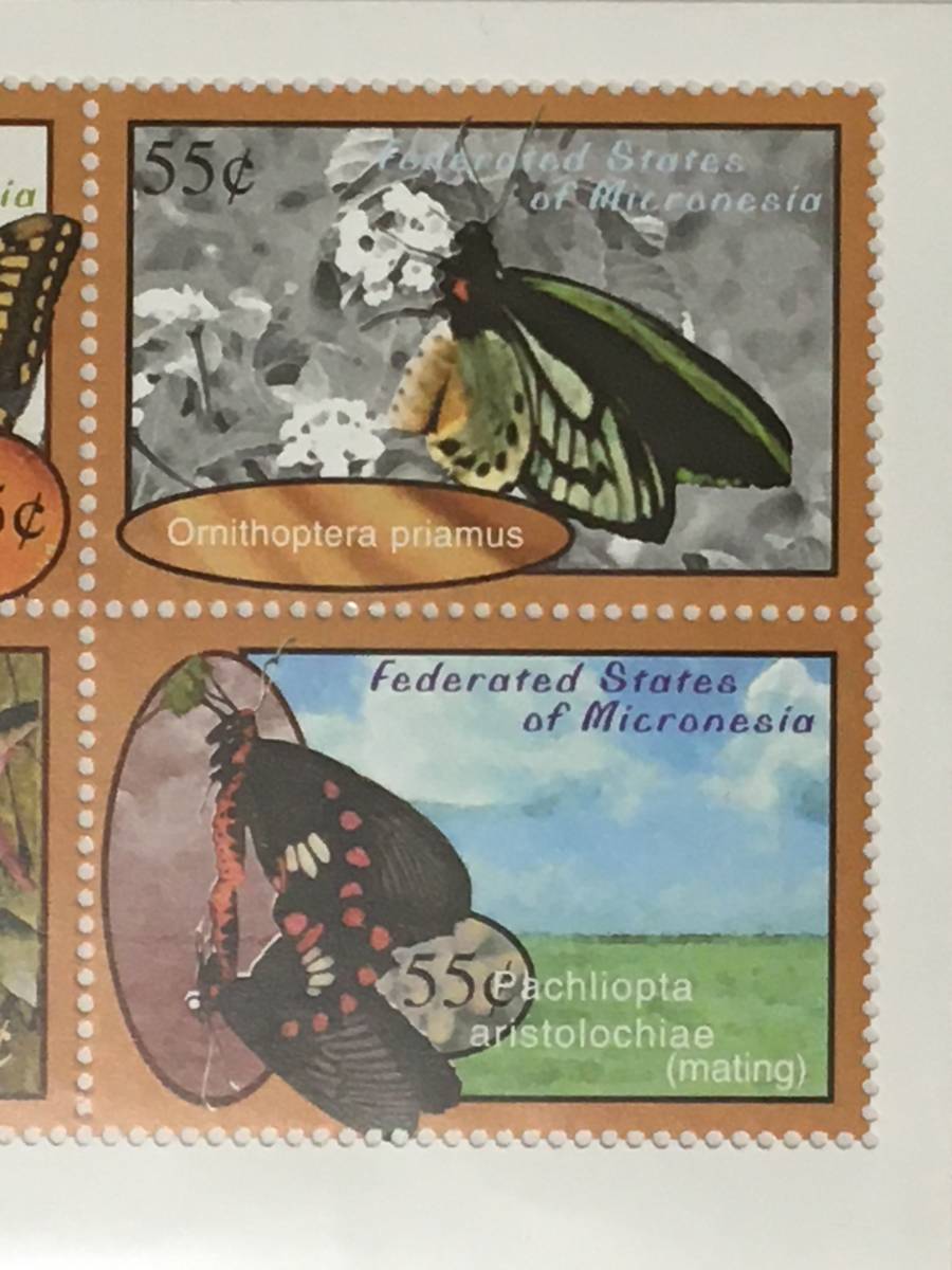  stamp : insect * butterfly | micro nesia* seat *